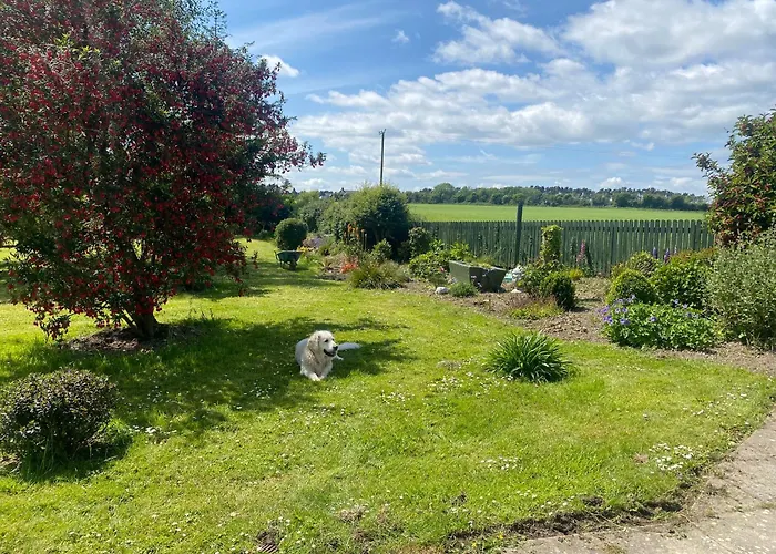 Сasa de vacaciones Nolans Organic Farm *